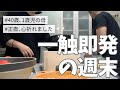 【遂に】そしたら結婚しなければ良かった?