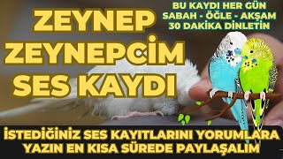 DİNLET KONUŞSUN ►| KESİN KONUŞACAK ►%100 | MUHABBET KUŞU KONUŞTURMA EĞİTİMİ ►| ZEYNEP