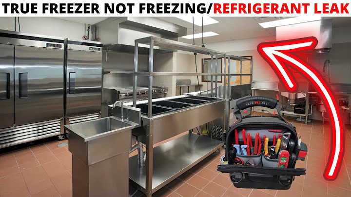 HVACR Service Call: TRUE Freezer Not Freezing(Commercial Freezer Not Cooling)Refrigerant Leak Repair