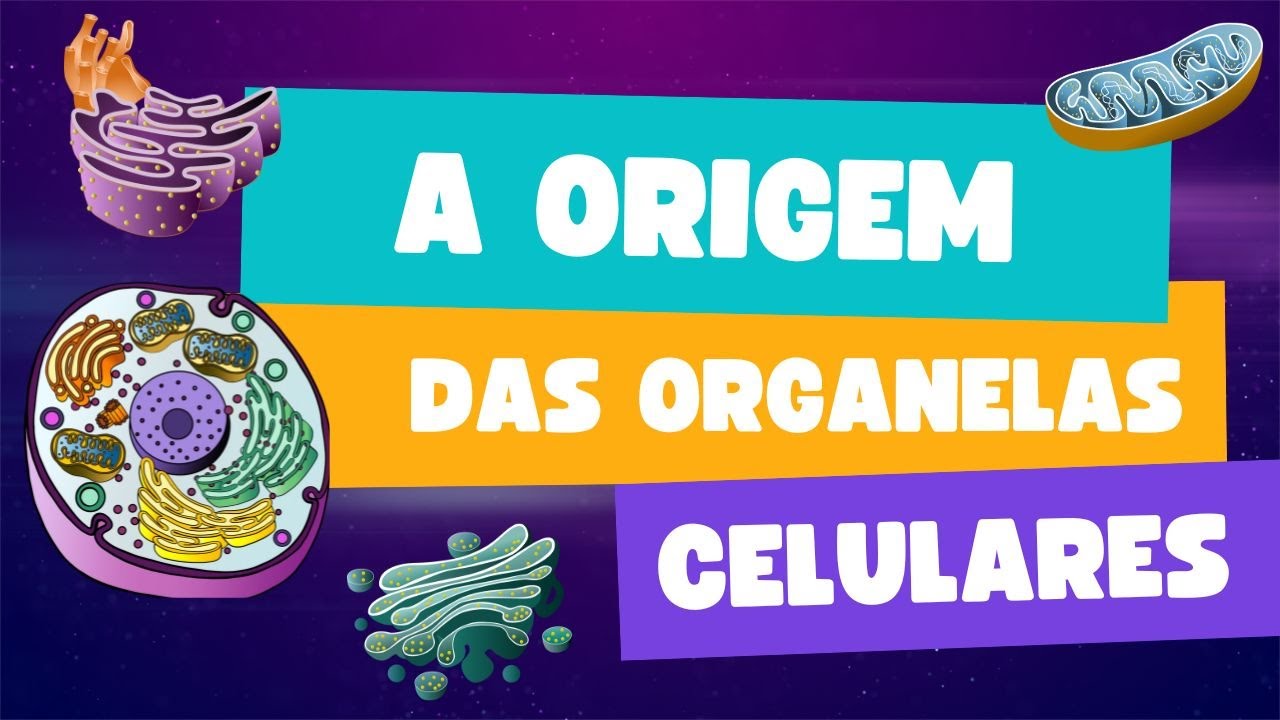 A Origem das Organelas