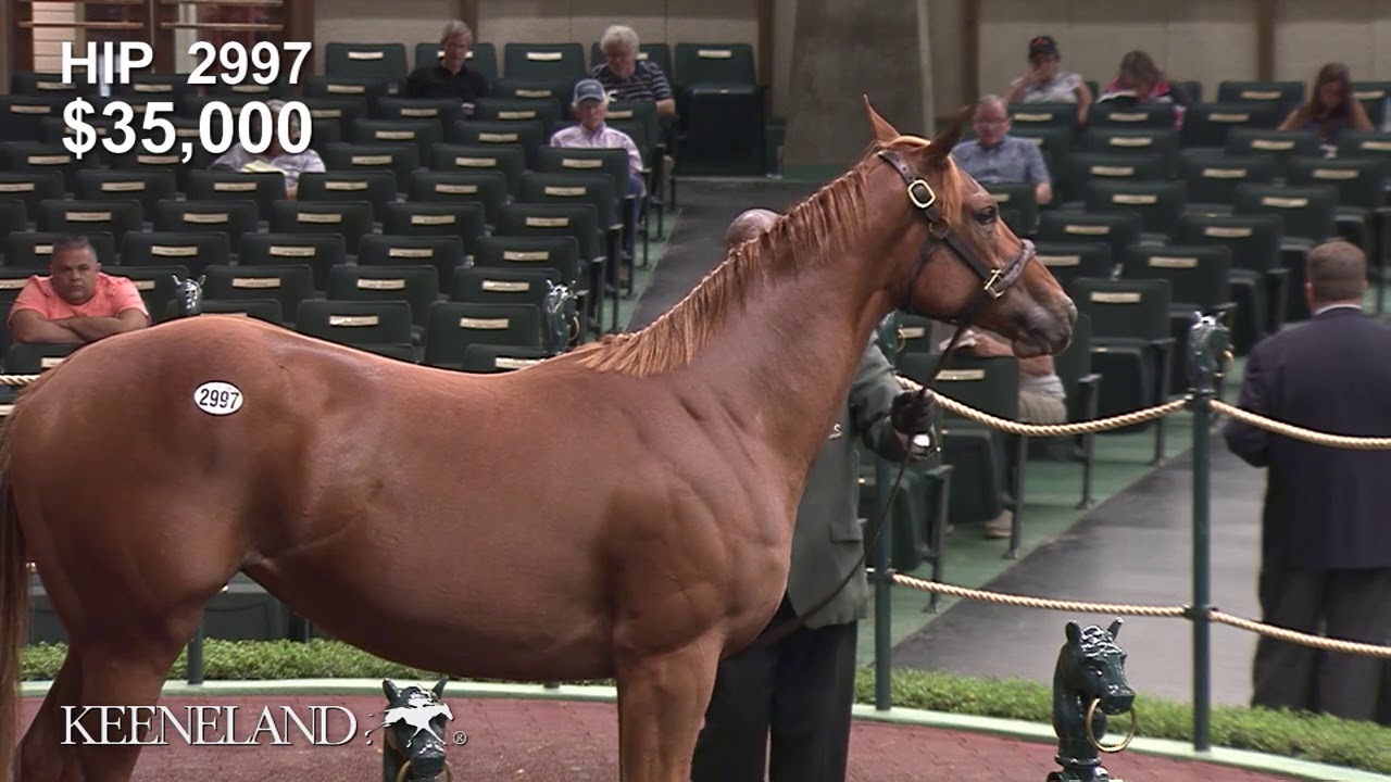 Swiss Skydiver sells at Keeneland September 2018