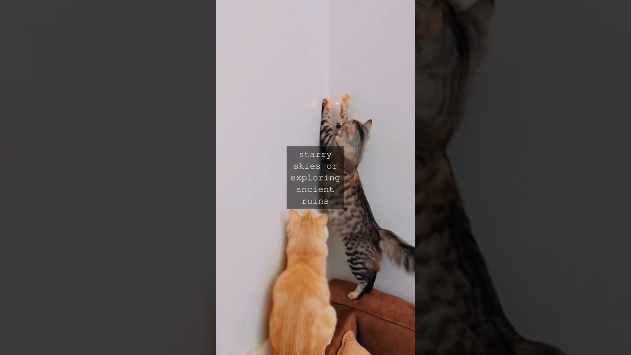 As I stood at the market surrounded by the vibrant colors and enticing aromas of exotic...