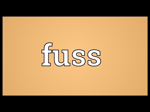 Meaning Of Fuss Dictionary English Dictionary