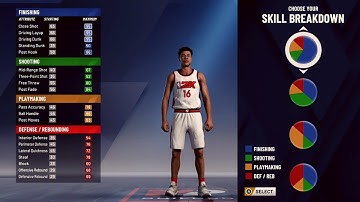 NBA 2K20 ALL PIE CHARTS FOR EVERY BUILD AND POSITION