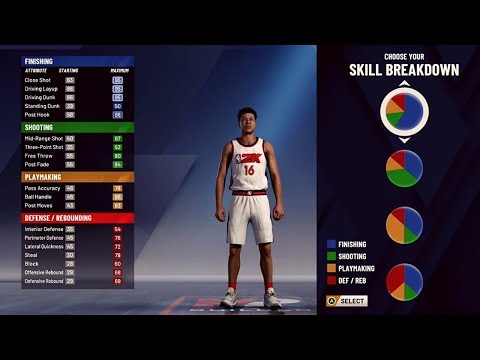 NBA 2K20 ALL PIE CHARTS FOR EVERY BUILD AND POSITION