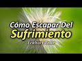 Triunfo - Cómo Escapar del Sufrimiento - Por Eckhart Tolle