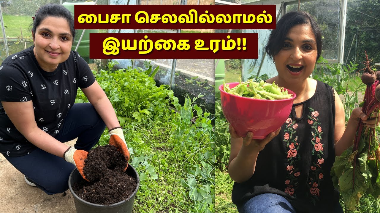 காய்கறி கழிவுகளை உரமாக்குவது எப்படி | Composting Kitchen Waste with Zero Investment 