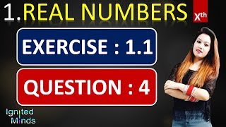 Question 4 | Exercise 1.1 | Chapter 1 | Real Numbers | Class 10th Math