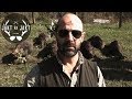 Vildsvinsjakt i Italien/Wild Boar hunt in Italy - Drevjakt i Italien