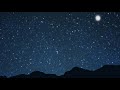 【全部俺ヴァイオリン】星に願いを(ピッチカート)