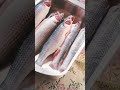 طريقة عمل البوري المقلي طريقة عمل البوري المقلي