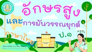 อักษรสูงและการผันวรรณยุกต์ วิชาภาษาไทย ชั้น ป.1
