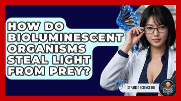 How Do Bioluminescent Organisms Steal Light From Prey? - Strange Science HQ