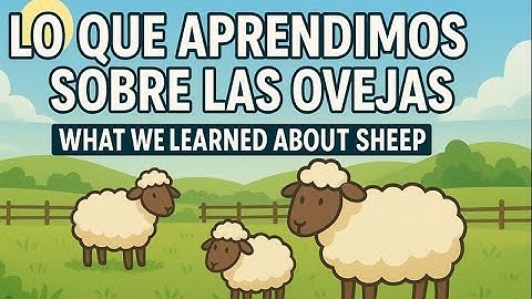 Episode 11 What we learned from raising sheep for the first time_Lo que aprendimos sobre las ovejas.