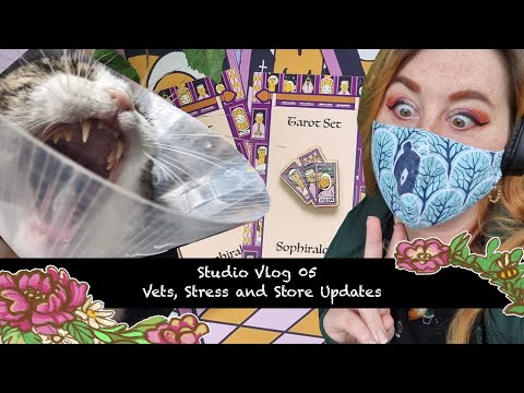 Vets, Stress and Store Update - Studio vlog 5