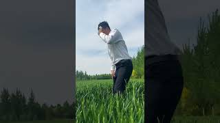 The love bird in the wheat field#Love Bird Dance Challenge#Village Party Secretary
