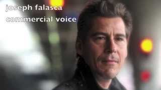 Famous joseph falasca commercial VO reel Wealth