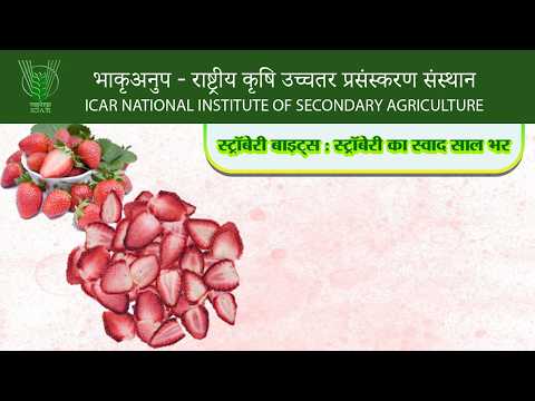 स्ट्रॉबेरी बाइट्स : स्ट्रॉबेरी का स्वाद साल भर