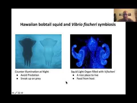 11-03-20 Transcriptional regulation