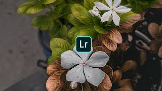 Lightroom orange moody colour tone editing tutorial
