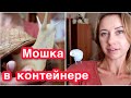 ТОША ТЕПЕРЬ ОДИН🦜КАК ИЗБАВИТЬСЯ ОТ МОШКИ В КОНТЕЙНЕРЕ У УЛИТОК🪰АКЦИЯ НА ЯГЕЛЬ💰