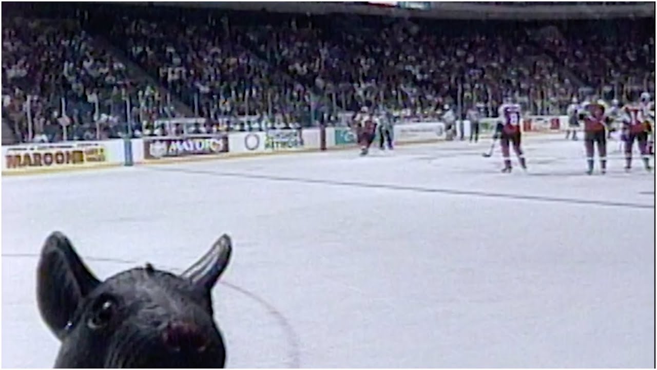 Panthers penalized twice after toy rats hit ice