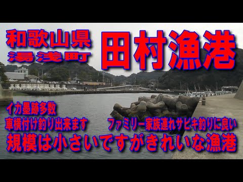 #152和歌山県田村漁港規模は小さいですがきれいな漁港雄大な海と豊かな自然阪和自動車道湯浅御坊道路国道42号広川ICみかん畑の道和歌山県有田郡湯浅町田車横付け釣り出来ます原風景漁村西広海岸和歌山県