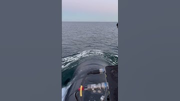 Dolphins swim next to the U.S. submarine USS Oregon #shorts #usnavy #navy