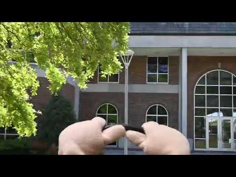 Marty's Spring Campus