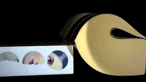 Book Trailer: The Luminaries, by Eleanor Catton (V...