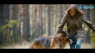 theDogHood App - Helps take care of your dog better ! screenshot 4