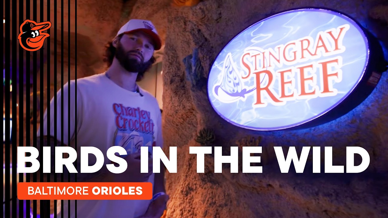Birds in the Wild: Brandon Young Visits Downtown Aquarium in Return to Houston | Baltimore Orioles