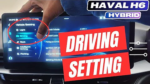 Vehicle Driving Settings in Haval! - DayDayNews