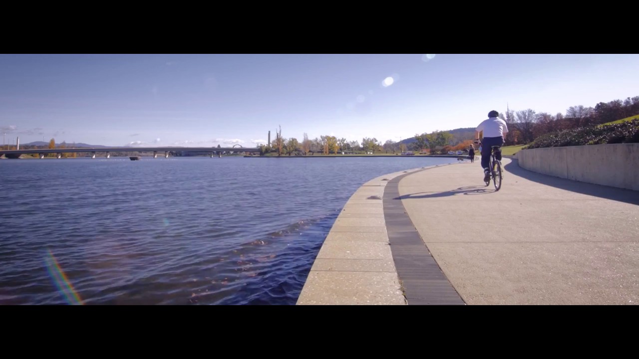 Short Cuts - Regatta Point