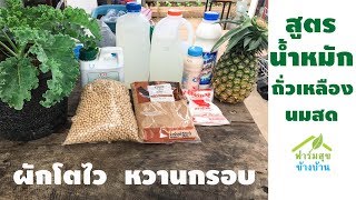 น้ำหมักจุลินทรีย์ ถัวเหลืองนมสด สูตรนี้ผักเขียวหวานกรอบมาก // ฟาร์มสุข้างบ้าน