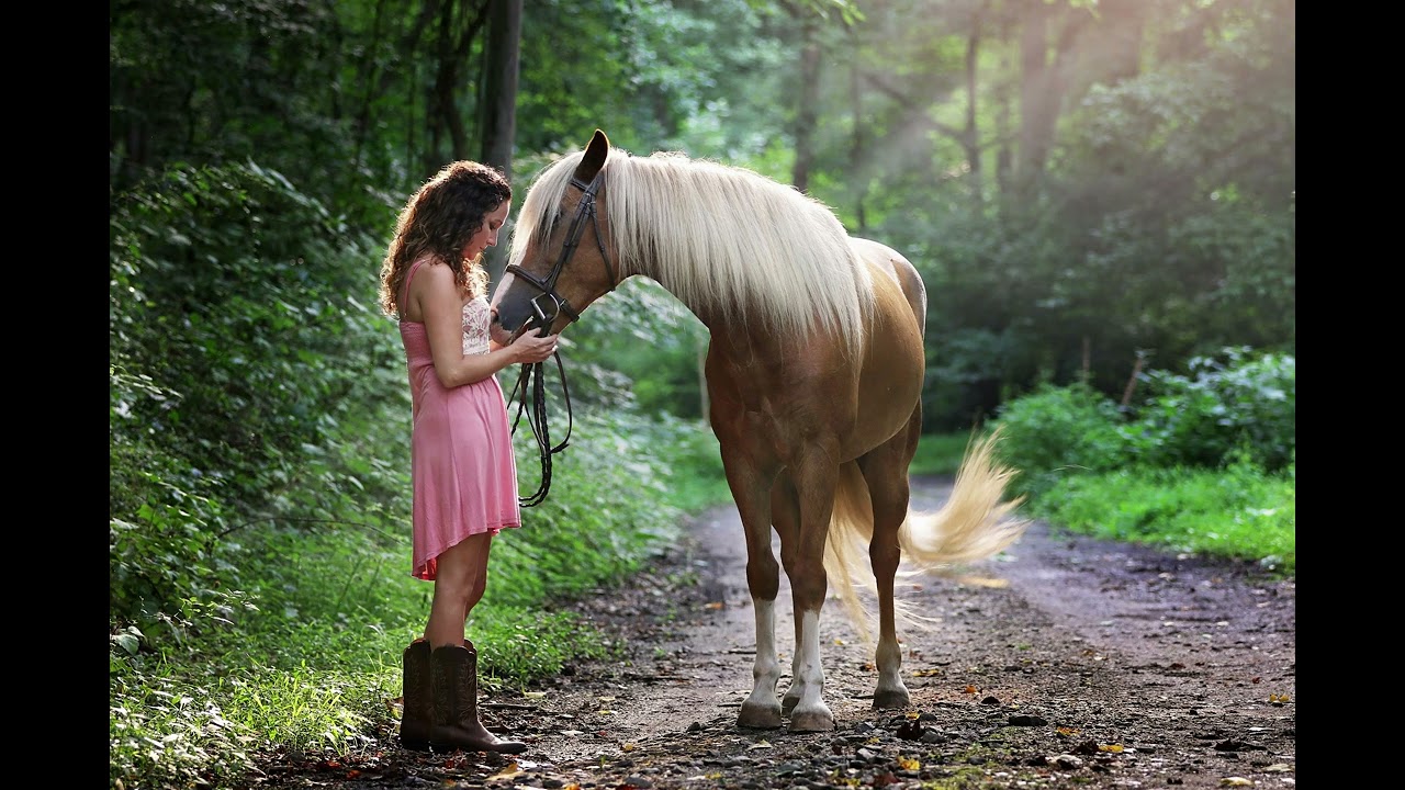 Sertanejo Gospel – Fé, Amor e Louvor em Ritmo Sertanejo