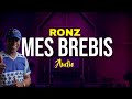 Ronz- Mes brebis (Audio officiel)