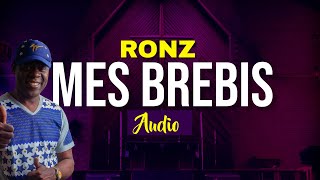 Ronz- Mes brebis (Audio officiel)