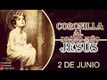 CORONILLA AL DIVINO NIÑO JESÚS 2 de junio