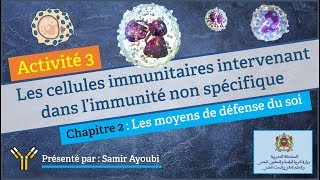 Immunologie : 2.3. Les cellules immunitaires intervenant dans l’immunité non spécifique