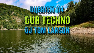 🌲DUBBISM 114 - DJ Tom Larson 2023 | Dub Techno Session🌲