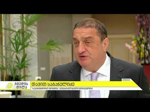 დავით საგანელიძე წყალტუბოს კურორტის განვითარების შესახებ