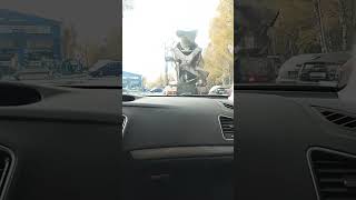 видео: Дорога Черни - Брест картинка: Дорога Черни - Брест