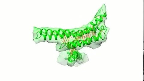 Mitochondrial ATP synthase a subunit structure by cryo-EM and evolutionary covariance