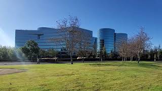 Redwood Shores Oracle