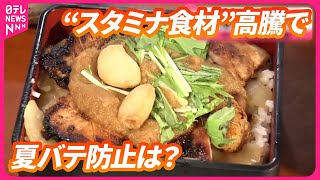 【“スタミナ食材”高騰で夏バテ防止は？】豚も夏バテで生育不良、ニンニクも…