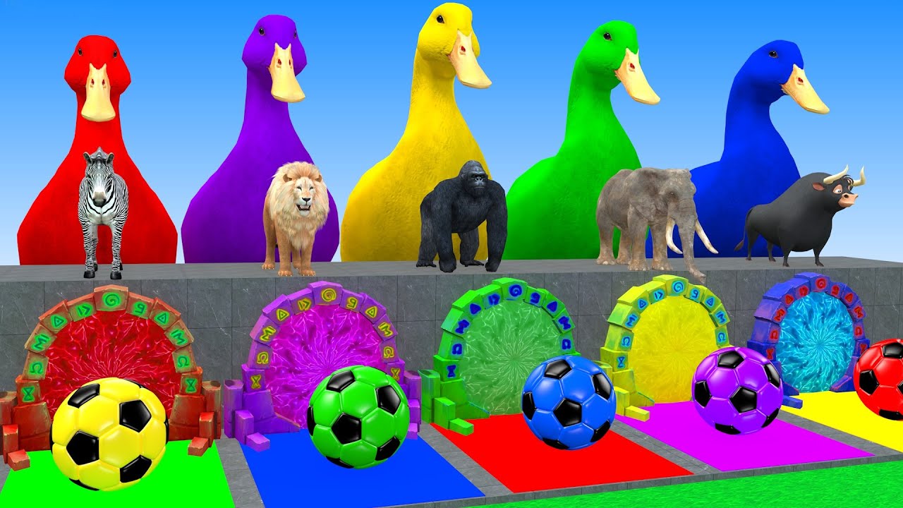 Long Slide Game With Elephant Gorilla Buffalo Hippopotamus Tiger 3d Animal Game Funny 3d Animals