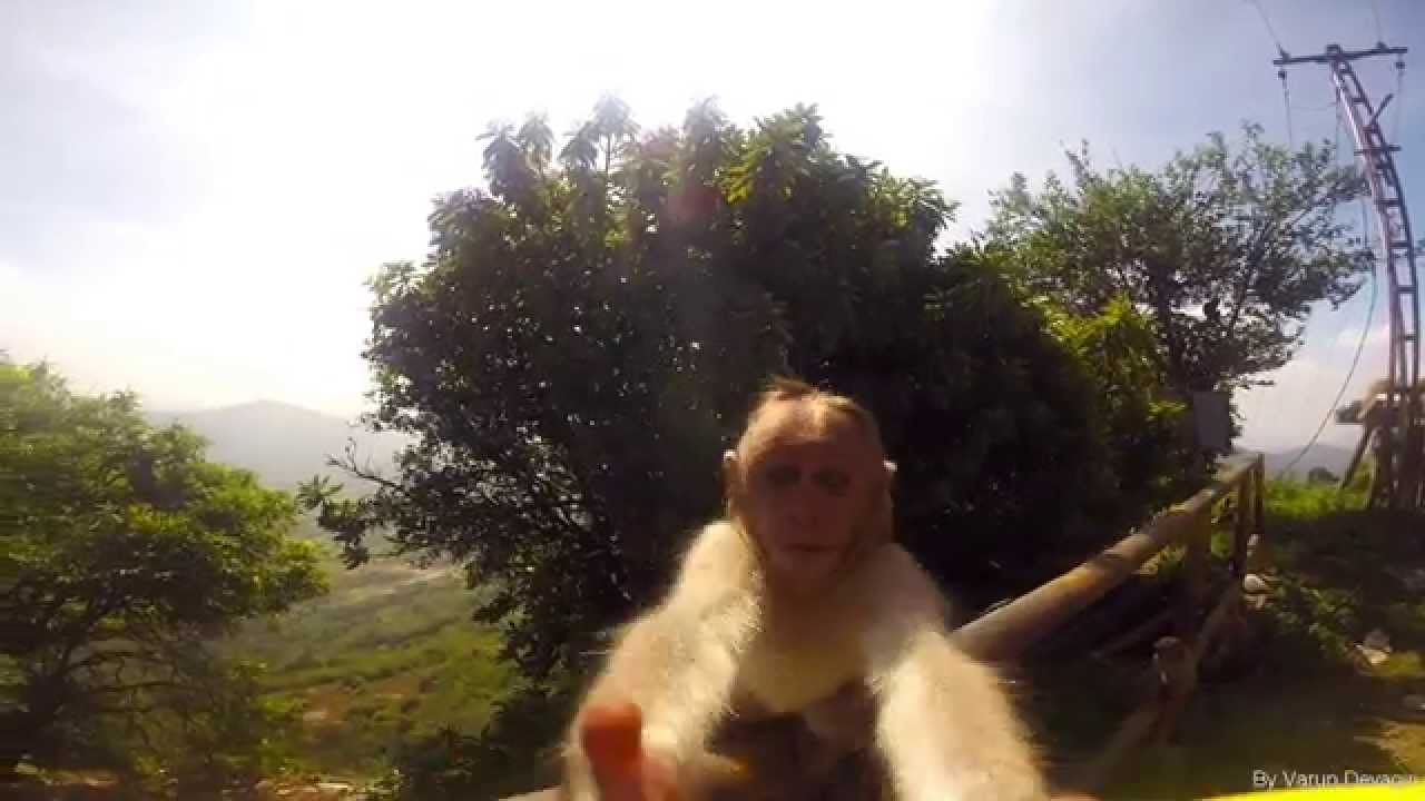 Monkey Business - Banana Treat, GoPro