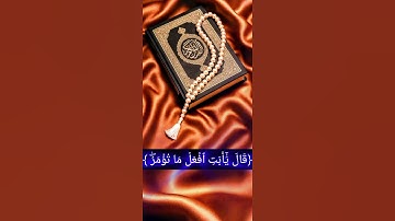 #اكسبلور #القرآن_الكريم ﴿ القارئ الشيخ محمد اللحيدان﴾  ♥️♥️🫀