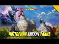 ТАНЖИРО ТАХИА БАЙСАН БОЛ!